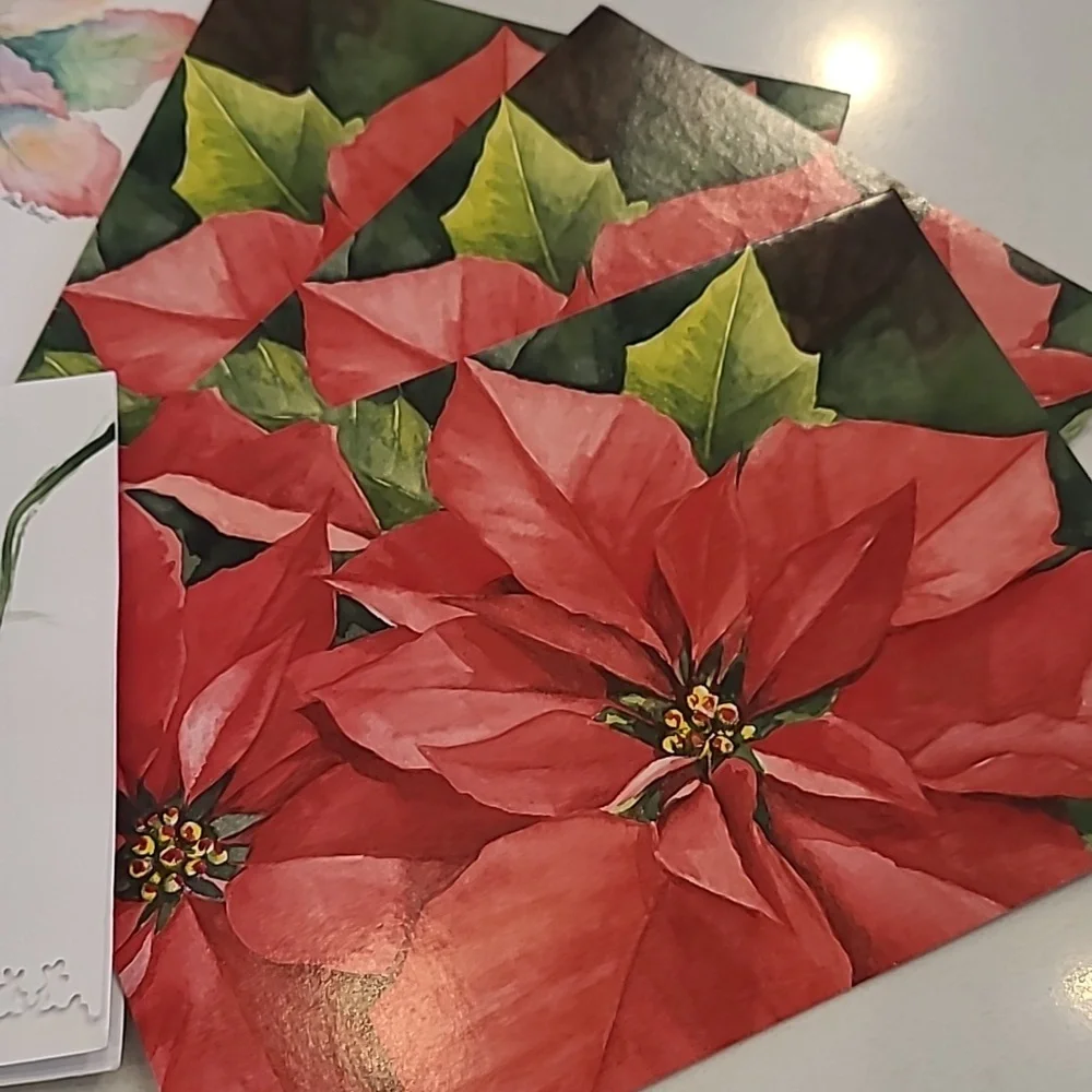 Festive Poinsettia Greeting Cards 7 Total
